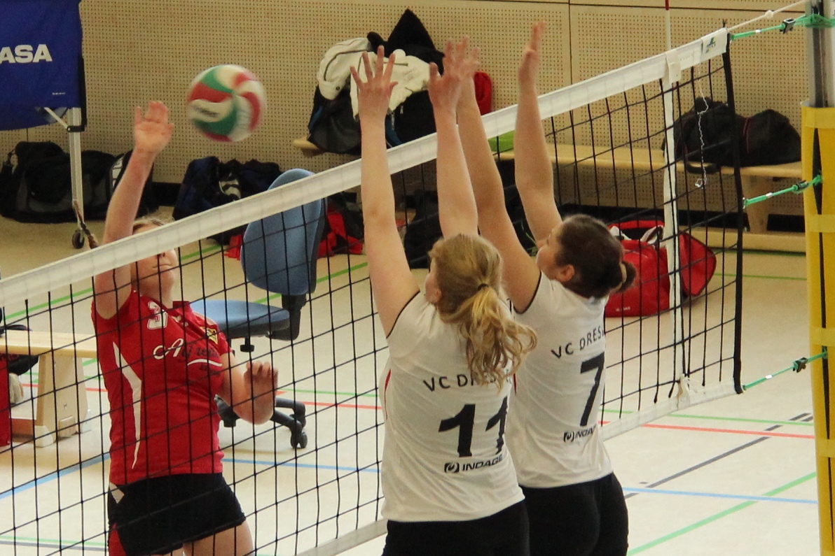 Der Damenbereich des VC Dresden VC Dresden